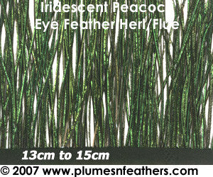 Peacock Herl Fringe 6"