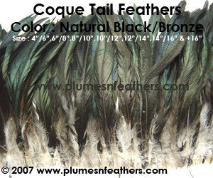 Nat. Bronze Tails 10"/12"
