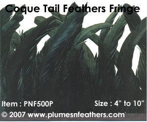 Coque Tail Fringe 4" Iri.Black