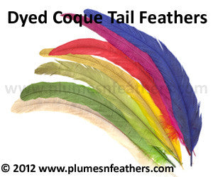 Coque Tail Bleached Dyed 6”/8” 10 Pcs.