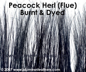 Peacock Herl (Flue) Strung 10"/12" ¼ Oz.