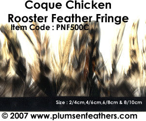 Coque Grey Chinchilla Fringe 6/8cm