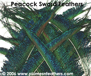 Nat. Peacock (Cutsword) 10"/16"
